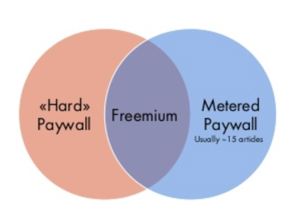 hard paywall vs metered paywall