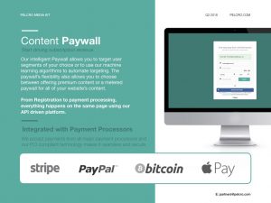 Supports stripe, Apple Pay, Google Pay, Bitcoin, CoinBase
