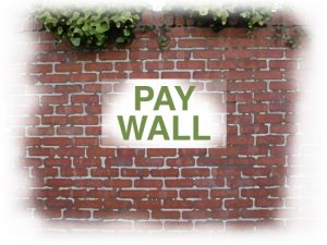 A dynamic paywall allows you to bypass the problems that other paywall types can have.